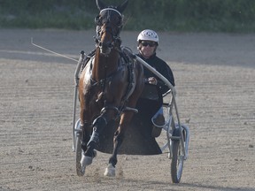 Racing will continue at Mohawk without fans. Horsepeople were also given further instructions on access to the paddock, grandstand areas, and drivers’ room. Michael Burns photo