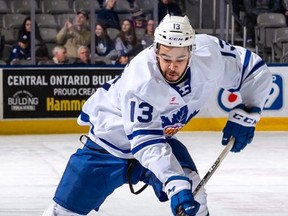 The Belleville Senators acquired forward Nick Baptiste from the Toronto Marlies Monday in exchange for defenceman Trent Bourque.