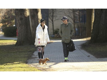 A couple of friends walk a Daschund  at the Back Fields sports complex at the University fo Toronto downtown campus on Friday March 27, 2020. Jack Boland/Toronto Sun/Postmedia Network