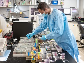Histowiz lab scientists preparing to test COVID-19 samples from recovered patients on April 8, 2020 in Brooklyn, New York City. (Misha Friedman/Getty Images)