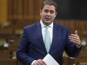Conservative Leader Andrew Scheer rises during a special sitting of Parliament in the House of Commons, Wednesday, March 25, 2020 in Ottawa. (THE CANADIAN PRESS/Adrian Wyld)