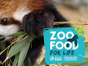The Toronto Zoo is fundraising with the Toronto Zoo Wildlife Conservancy to feed its animals during the COVID-19 closure.