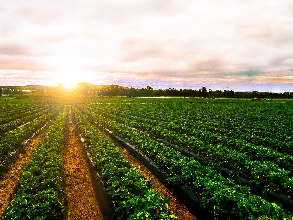 JAYARAJ: Warming climate powers Canadian agriculture