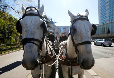 A Fiaker horse carriage waits for food packages for delivery in front of the InterContinental Hotel during the coronavirus disease (COVID-19) outbreak in Vienna, Austria April 8, 2020.  REUTERS/Leonhard Foeger ORG XMIT: PPP-LEO13