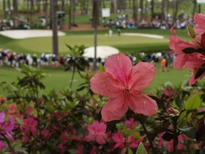 Azaleas bloom A view of the 16th green at Augusta National with azaleas blooming in the foreground. (The Associated Press/File Photo)