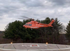 Sadie, 6, was flown by air ambulance to the Hospital for Sick Children in Toronto after suffering extensive injuries when she was attacked by two Saint Bernards in Haliburton on Sunday, April 12, 2020. (GoFundMe)