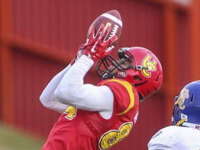 Denzel 
Radford studied finance and commerce at the University of Calgary before starting his CFL career. He hopes to play for the Toronto Argonauts in 2020. (CRYSTAL SCHICK/Postmedia files)