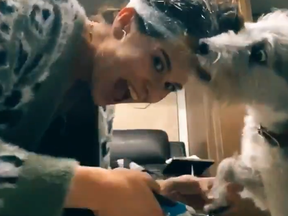 In this viral Tik Tok video, dog mama Linds Shelon uses peanut butter on her forehead to distract her dog while she cuts his nails.