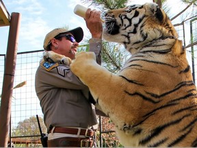 Joe Exotic on Netflix's "Tiger King." Tiger King Park was recently given the green light to re-open.