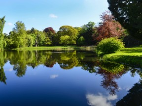 Bolwick’s lakeside walk shows the curved lines typical of landscape designer Humphry Repton.