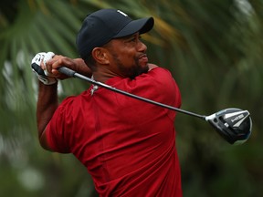 Tiger Woods plays his shot from the 13th tee during The Match: Champions For Charity last weekend.  Tiger is healthy and should be a big threat this summer.