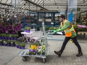 Sheridan Nurseries employee Jacob Clyde wheels a customer's purchase to their car in Mississauga on May 4, 2020.