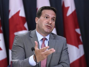 Liberal MP Marco Mendicino speaks at a press conference in Ottawa on July 22, 2019.  THE CANADIAN PRESS/Justin Tang