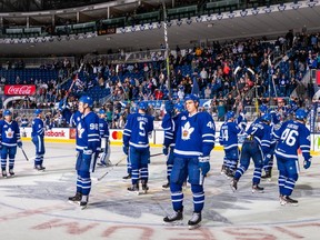 Toronto Marlies hoist their sticks in a an undated photo.