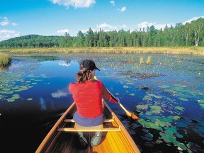 Canoeing in Algonquin Provincial Park.