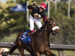 Luis Contreras celebrates aboard "Holy Helena" as he crosses the line to win the 158th running of the Queen's Plate at Woodbine in Toronto on Sunday, July 2, 2017.