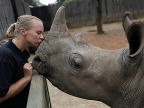 Yolande van der Merwe kisses an orphaned rhino, amid the spread of the coronavirus disease (COVID-19) at a sanctuary for rhinos orphaned by poaching, in Mookgopong, Limpopo province, South Africa April 17, 2020.