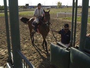 Gate schooling is one of the activities to resume at Woodbine on Wed. May 13.