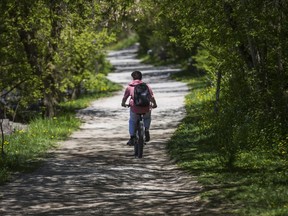 A cyclist make their way along the Credit River in Erindale Park, which is  closed to cars, in Mississauga, Ont. on Thursday May 21, 2020. Ernest Doroszuk/Toronto Sun/Postmedia