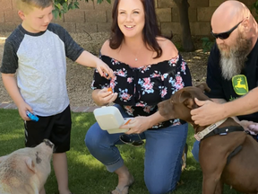 A potbelly pig named Penelope Rose and a pit bull named Ruby Sue have found a new home in Arizona.