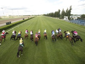 Thoroughbreds break from the starting gate on opening weekend at Woodbine Racetrack
