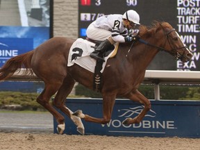 Rafael Hernandez, last year’s second-leading rider at the Etobicoke oval, won two races on Saturday, including the 9th and final race of the day aboard the 9-1 long shot Malibu Uproar for trainer Kevin Attard and owners Soli Mehta and partner. Michael Burns photo