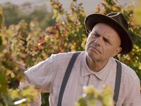 The film, "From The Vine," starring Joe Pantoliano will be screened at this year's Oakville Festivals of Film & Art.