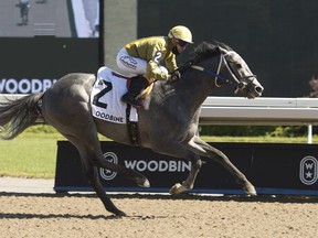 Three-year-old colt Newstome won the $100,000 Woodstock Stakes by a commanding 5 1/2 lengths at Woodbine Racetrack on Saturday.