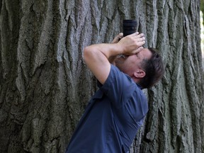 Randy Van Der Starren of Take Your Seat takes pictures of a tree in Toronto on Thursday, June 18, 2020. He is working on a special book documenting the city during the pandemic.