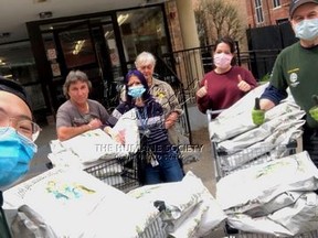 HSI/Canada's Toronto COVID-19 Animal Response Team delivers food, essential supplies and emergency transportation for companion animals impacted by the pandemic.