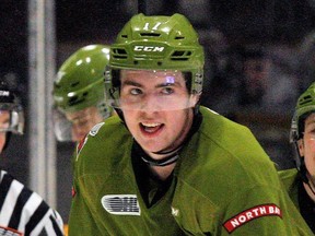 Justin Brazeau scored 61 goals for the North Bay Battalion in the 2018-19 season. He had 27 goals last season for Newfoundland of the ECHL, and hopes to be playing with the Toronto Marlies in 2020-21.