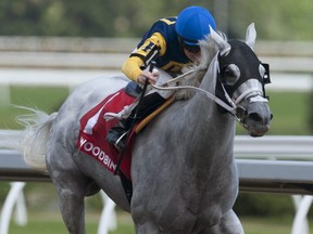 Jockey David Moran guides Jean Elizabeth to victory in the $125,000 Whimsical Stakes at Woodbine on June 21, 2020, for owner Richard Ravin, Patricia's Hope LLC and trainer Larry Rivelli.