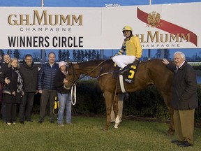 Trainer Robert Tiller (far right) poses with Pink Lloyd in the winner’s circle at Woodbine Racetrack last year.