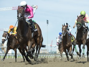 Jockey Emma-Jayne Wilson guides Two Sixty to victory in the $125,000 Selene Stakes at Woodbine.Two Sixty is owned by Gary Barber and trained by Mark Casse.
