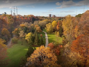 Toronto Police is seeking a woman after a man was stabbed in E.T. Seton Park in the Thorncliffe Park area on Monday.