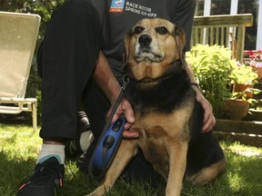 A rescue Beagle named Georgia alerted her owner Tony Farr to a massive fire at his neighbour's century home in Thornhill on Thursday.