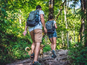 A hiker wonders how she should address her severe allergy issue when she's around other hikers with dogs.