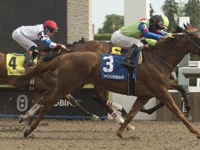 Curlin’s Voyage captures the Fury Stakes on a hot and humid Sunday afternoon at Woodbine Racetrack.