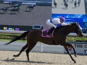 Isabelle Wenc, aboard Tornado Cat, records her first Woodbine victory on Aug. 26, 2017.