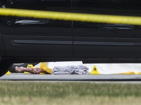 The body of Hamilton mob boss Pat Musitano on July 10 in a Burlington strip mall,