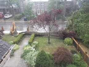 A fallen tree in Toronto as a thunderstorm rips through the city on Wednesday, July 8, 2020.