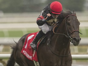 .Jockey Justin Stein guides Stronach Stable's Silent Poet to victory in the $175,000 Connaught Cup at Woodbine over the E.P.Taylor Turf Course. Silent Poet is trained by Nicholas Gonzalez.