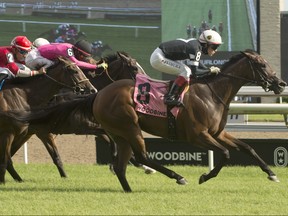 Jockey Kazushi Kimura guides Lady Grace to victory in the $175,000 Royal North Stakes over the E.P. Taylor turf course at Woodbine Racetrack on July 18, 2020.