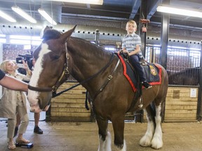 Nolan Russell, then 7, rides atop police horse Russell, named in honour of his father, Sgt. Ryan Russell, killed in the line of duty in Jan. 2011.