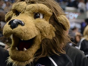 The man who plays "Bailey," the Los Angeles Kings mascot, is being sued.