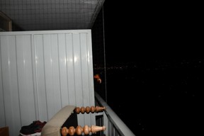 Netting surrounding the neighbouring apartment’s balcony, as seen from Regis Korchinski-Paquet’s balcony