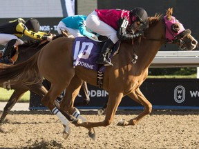 .Jockey Sheena Ryan guides El Bayern (10) to victory in the $250,000 Muskoka Stakes for owner Stacey Van Camp and trainer Michael Mattine.