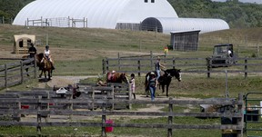 Pathways on Pleasure Valley is home to 50 horses. Veronica Henri/Toronto Sun
