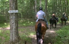 A trail ride at Pathways on Pleasure Valley. Veronica Henri/Toronto Sun