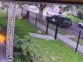 In a video surveillance footage, a white dog is seen fighting with a Detroit Police K-9 between a fence while its police partner holds onto its leash.